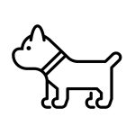 Seguro Mascotas